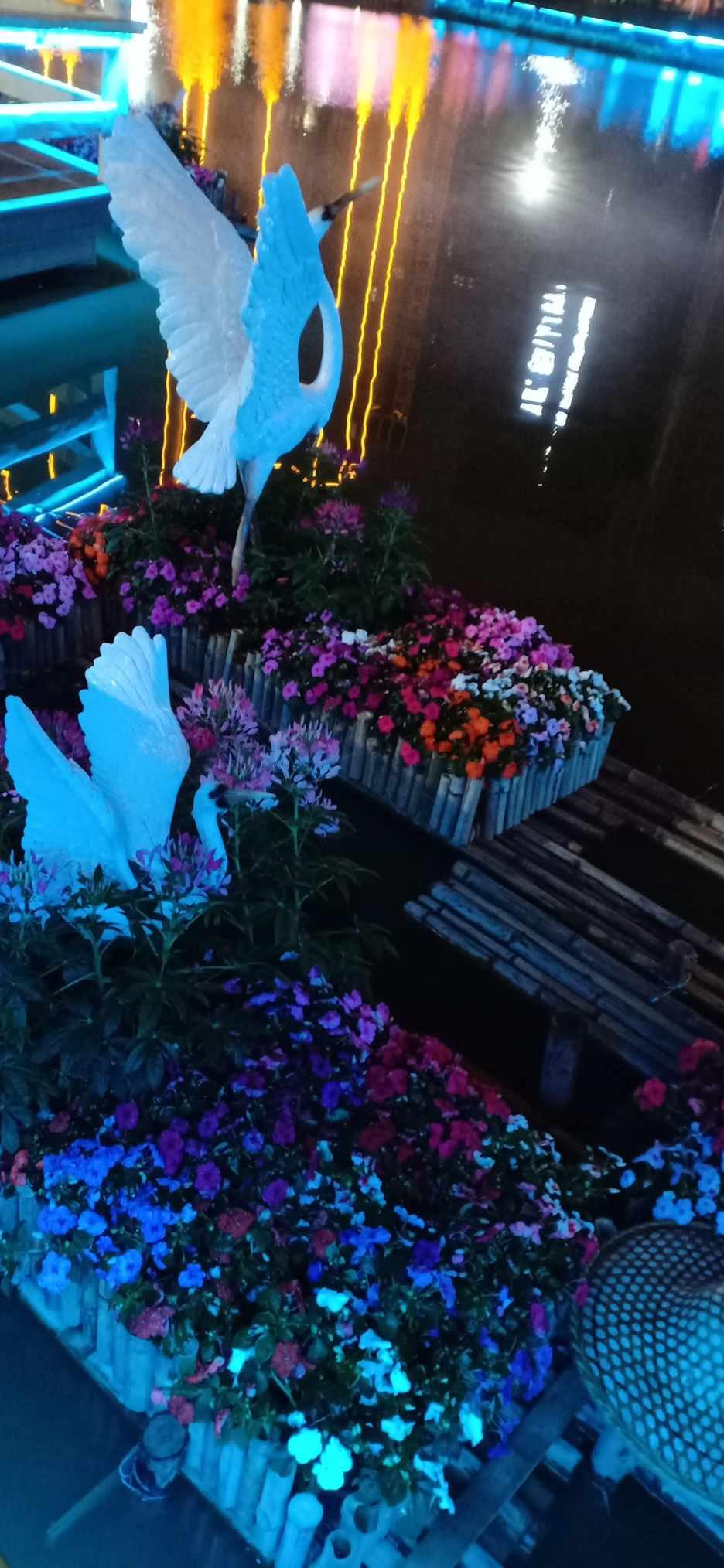 吃水果减肥真的靠谱吗？